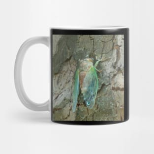 Rebirth Mug